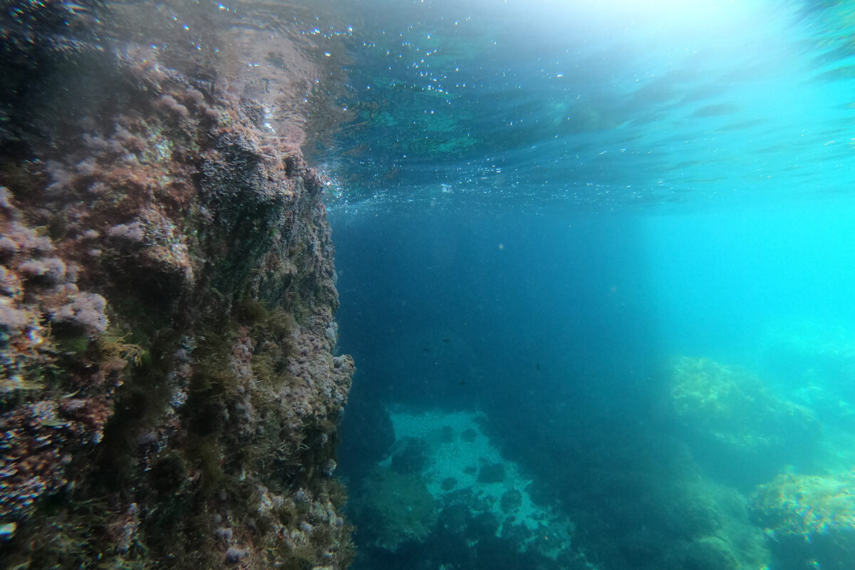 Snorkeling